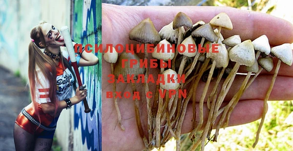 дурь Балабаново