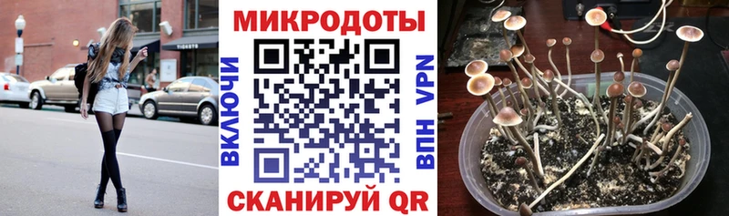кракен   дарнет шоп  Лакинск  маркетплейс Telegram  Псилоцибиновые грибы прущие грибы 